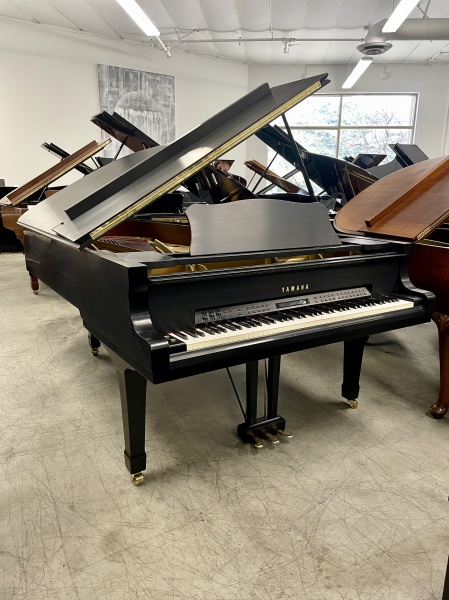 Yamaha C7 Semi-Concert Grand Piano with MIDI system 7'6