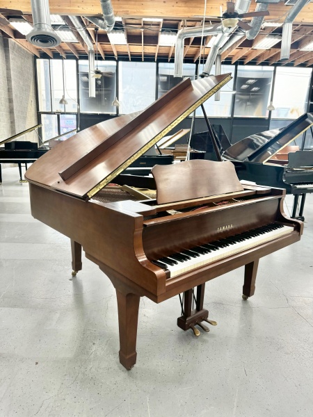 Yamaha C3 Grand Piano 6'1