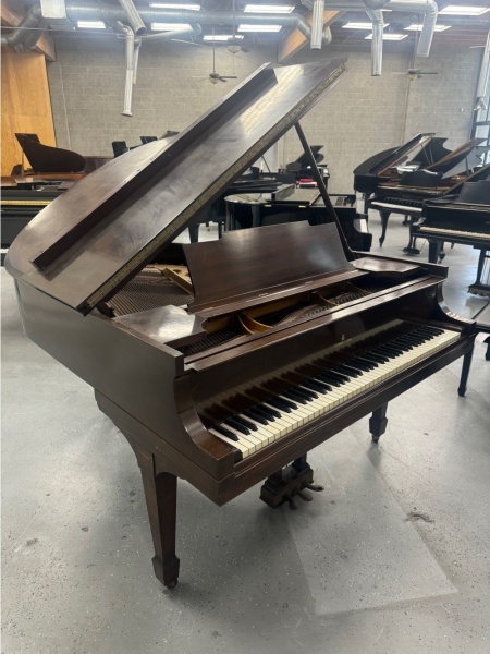 Steinway M Grand Piano 5'7