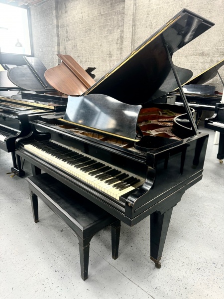 Bechstein C 74