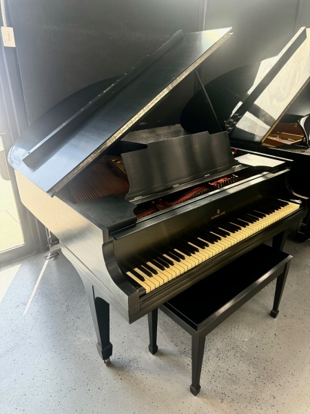 Steinway M Grand Piano 5'7