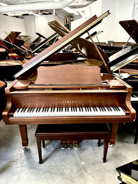 Yamaha C3 Grand Piano 6'1