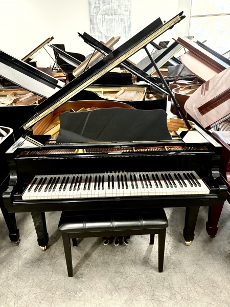 Yamaha C3 Grand Piano 6'1