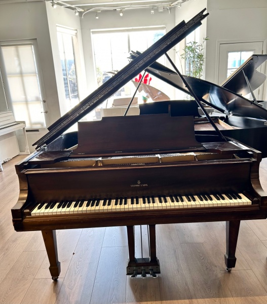Steinway M Grand Piano 5'7