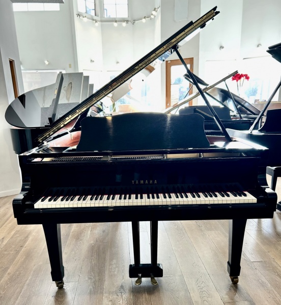 Yamaha C3 Grand Piano 6'1