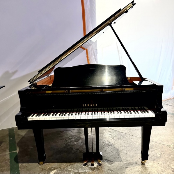 Yamaha C3 Grand Piano 6'1