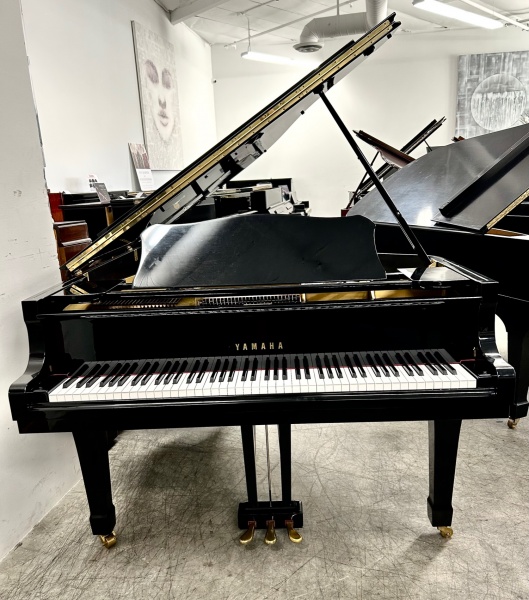 Yamaha C3 Grand Piano 6'1