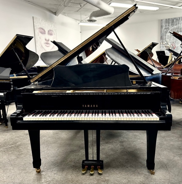 Yamaha C5 Grand Piano 6'7