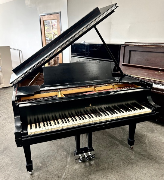 Steinway M Grand Piano 5'7