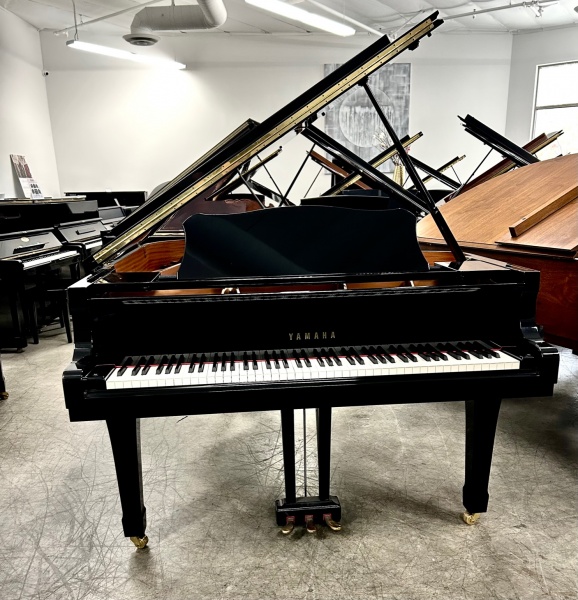 Yamaha C5 Grand Piano 6'7