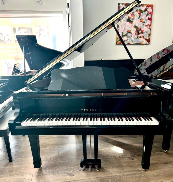 Yamaha C2 Grand Piano 5'8