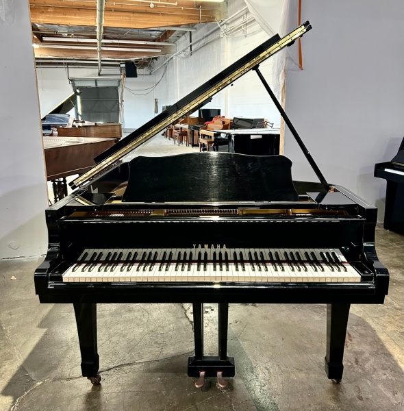 Yamaha G3 Grand Piano 6'1