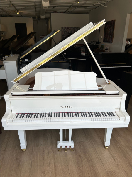 Yamaha C1 Grand Piano w/Pianodisc IQ Player System 5'3